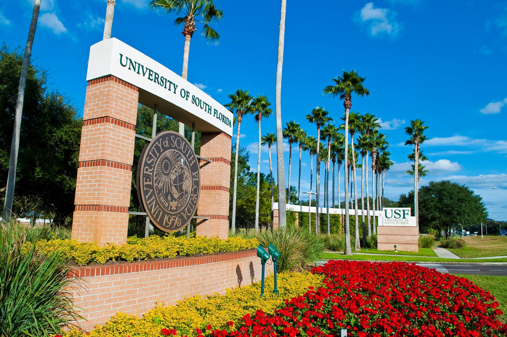 A College Partnership:  Femly is coming to University of South Florida!